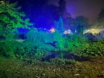 IMG_0184.jpg